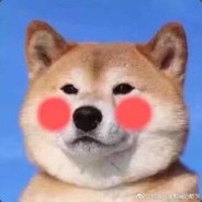 黑柯基ckck
