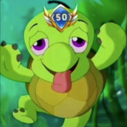 全国50强无敌双面小龟龟