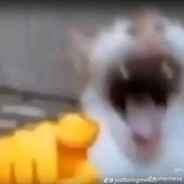 deopek - steam id 76561198329663663