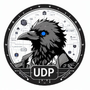 UDP