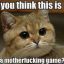 ginger_the_cat
