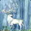 whitestag2705