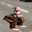 onecoolbro1145 avatar