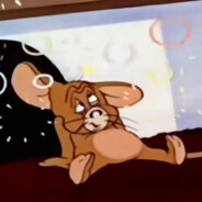 规划方面不能放入锅内