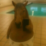 Нестеренко Кирилл