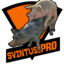 SVINTUS.PRO