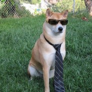 F.B.I Doggo