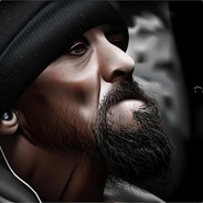 暴走的老斑马丨