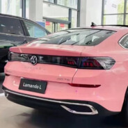 你先别慌，吃个鸡腿冷