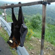 & - steam id 76561199485740243