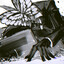 .theneyre