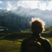 勇敢猪猪不怕困难