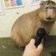 PoopyButt_