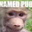 kid named pubert