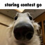 Idle Stark