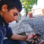 bostan