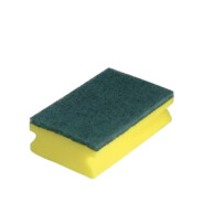 a kitchen sponge