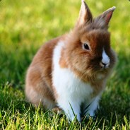 Разумный ЯйЦ