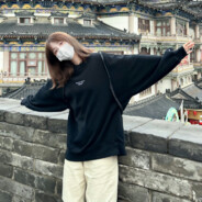 抵我心中意难平