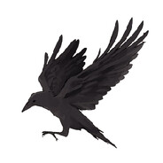 A-Crow