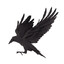 A-Crow