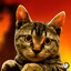PNG of a cat