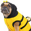 Bee-Dog