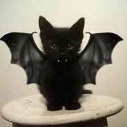 Logi1262 - steam id 76561199091776970