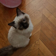 瓦区赋能微服私访