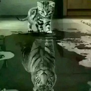 Big Avatar