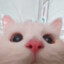 nhi