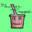 Master Frappe