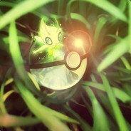 我要把菜字刻在我脑门