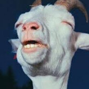 Kambing