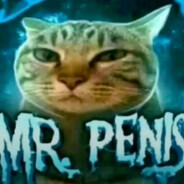 Mr Penis