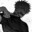 Exaltis