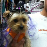 Десятый Депрессо