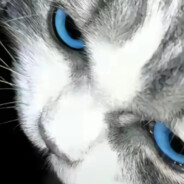 雪的第七篇华章