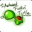 AwkwardTurtle