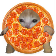 Koul - steam id 76561199220914423