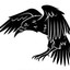 The Raven