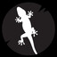 Lizard