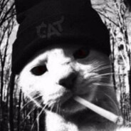 Edgy Cat