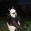 pandasexy