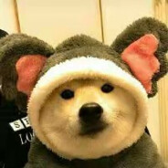 寡妇床底少年郎~