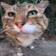 шлапагенгер