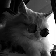 francis - steam id 76561199274656810