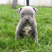 _☁𝚞𝚣𝚒𝚊☁_