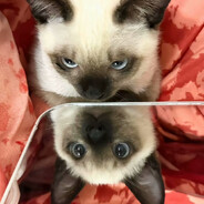 你心中殘缺的碎片