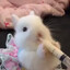 fluff